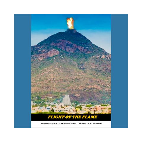 eBook - Flight of the Flame