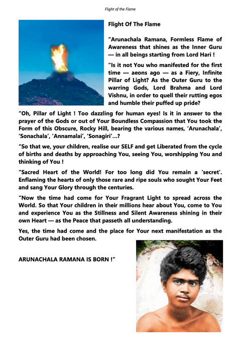 eBook - Flight of the Flame