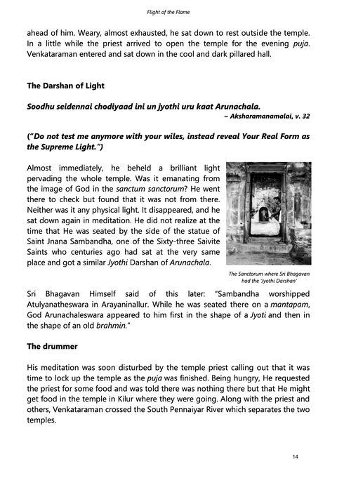 eBook - Flight of the Flame