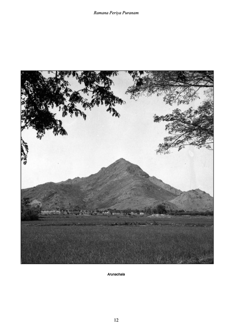 eBook - Ramana Periya Puranam (English)