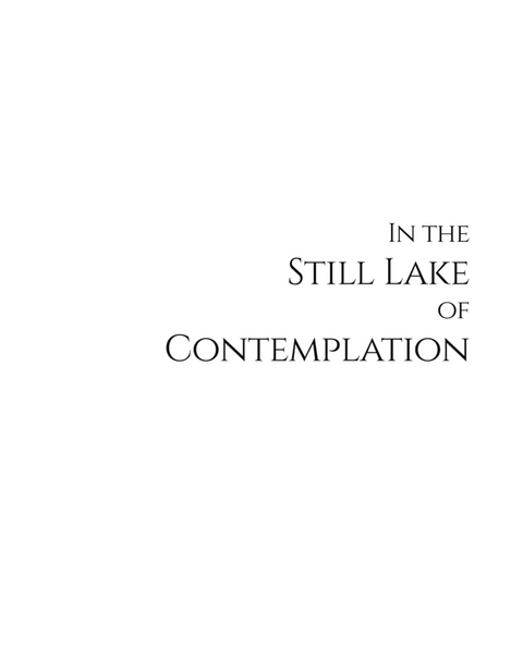 In the Still Lake of Contemplation