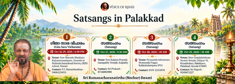 ഗീതാ സാര വിചാരം (Gita Sara Vicharam)